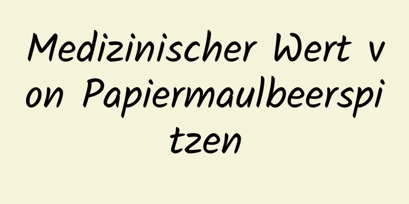 Medizinischer Wert von Papiermaulbeerspitzen