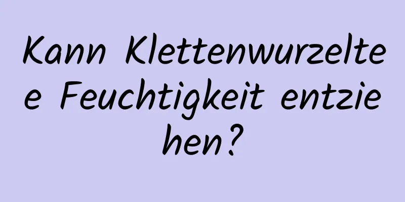 Kann Klettenwurzeltee Feuchtigkeit entziehen?