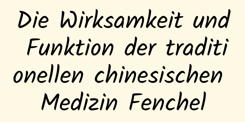 Die Wirksamkeit und Funktion der traditionellen chinesischen Medizin Fenchel