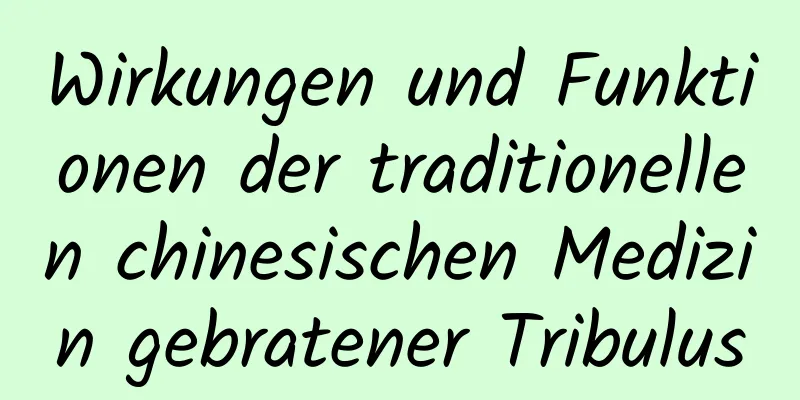 Wirkungen und Funktionen der traditionellen chinesischen Medizin gebratener Tribulus