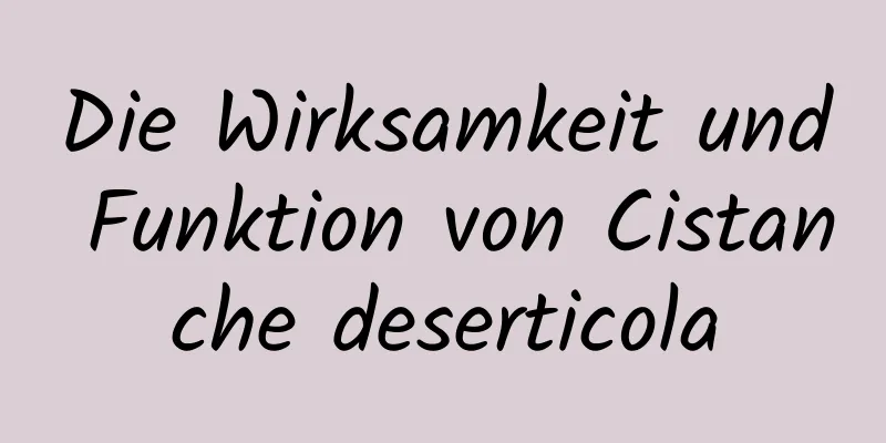 Die Wirksamkeit und Funktion von Cistanche deserticola