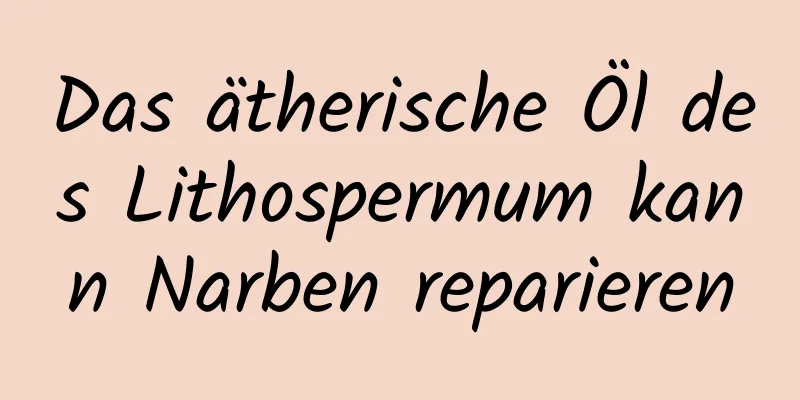 Das ätherische Öl des Lithospermum kann Narben reparieren