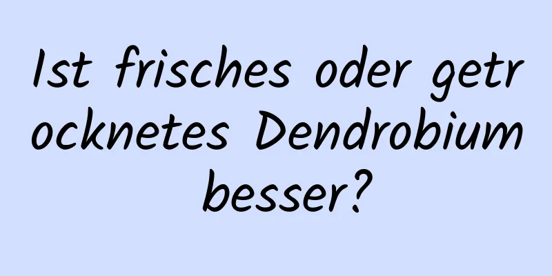 Ist frisches oder getrocknetes Dendrobium besser?