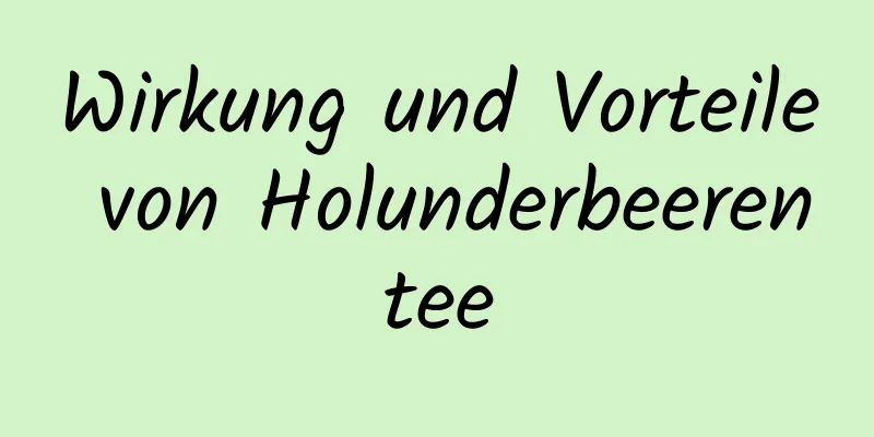 Wirkung und Vorteile von Holunderbeerentee