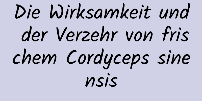 Die Wirksamkeit und der Verzehr von frischem Cordyceps sinensis