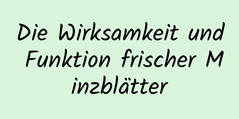 Die Wirksamkeit und Funktion frischer Minzblätter