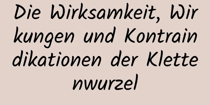 Die Wirksamkeit, Wirkungen und Kontraindikationen der Klettenwurzel