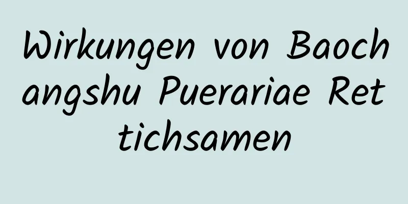 Wirkungen von Baochangshu Puerariae Rettichsamen