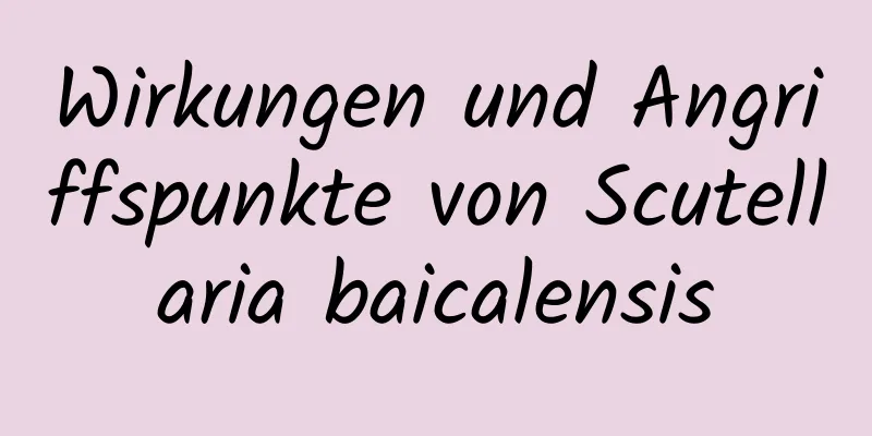 Wirkungen und Angriffspunkte von Scutellaria baicalensis