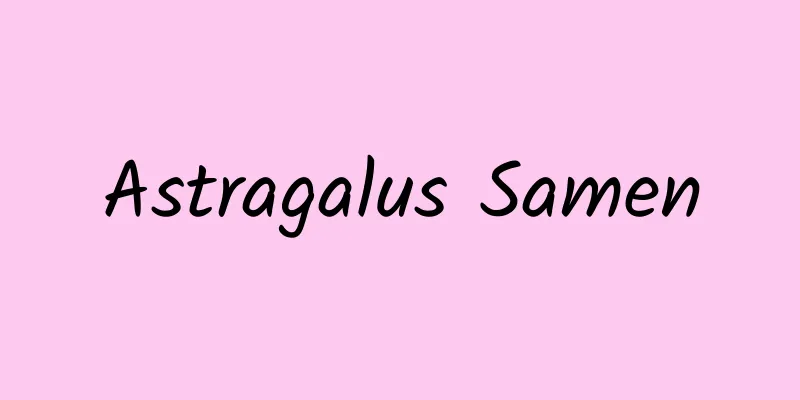 Astragalus Samen