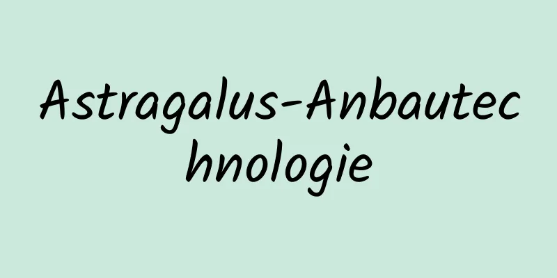 Astragalus-Anbautechnologie