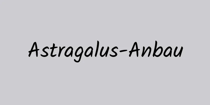 Astragalus-Anbau