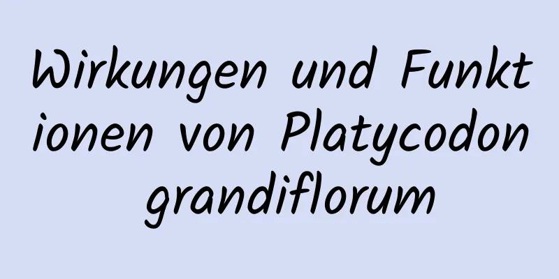 Wirkungen und Funktionen von Platycodon grandiflorum