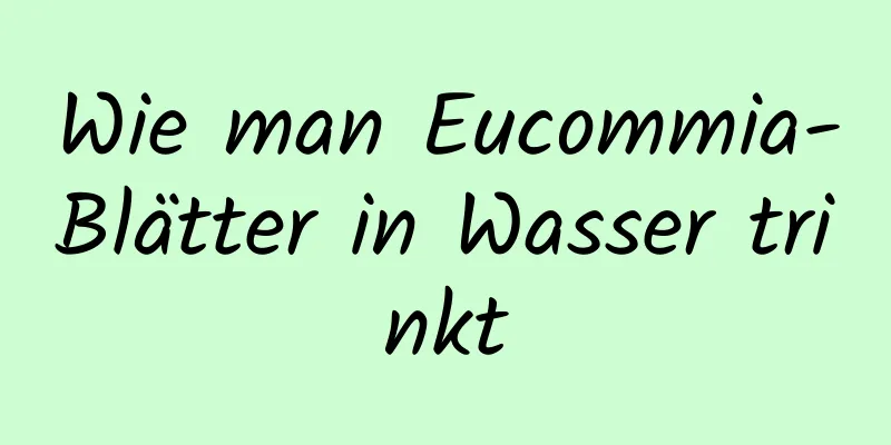 Wie man Eucommia-Blätter in Wasser trinkt