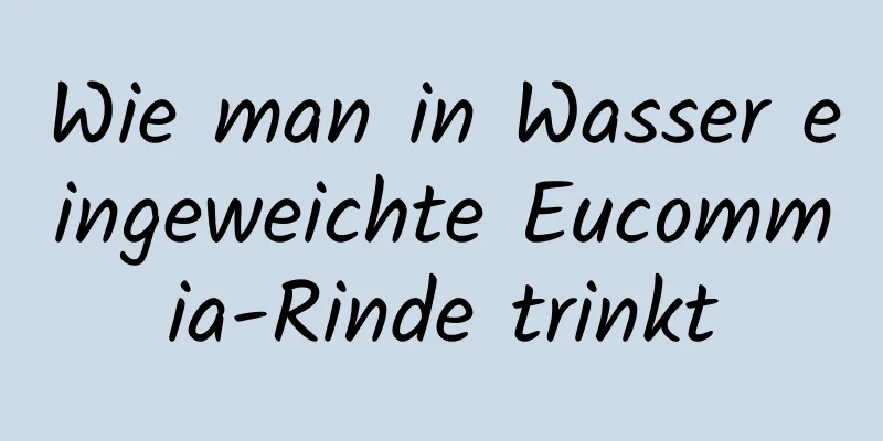 Wie man in Wasser eingeweichte Eucommia-Rinde trinkt