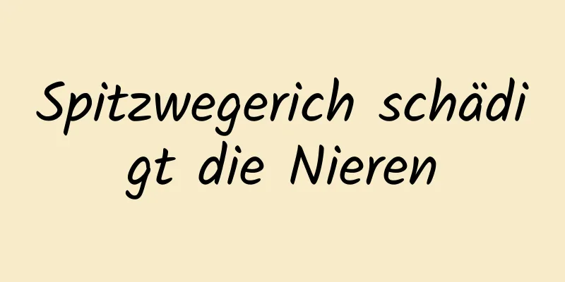 Spitzwegerich schädigt die Nieren