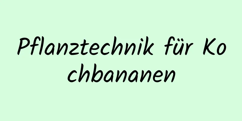 Pflanztechnik für Kochbananen