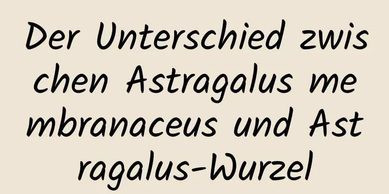 Der Unterschied zwischen Astragalus membranaceus und Astragalus-Wurzel