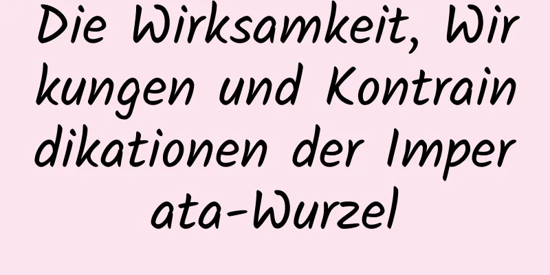 Die Wirksamkeit, Wirkungen und Kontraindikationen der Imperata-Wurzel