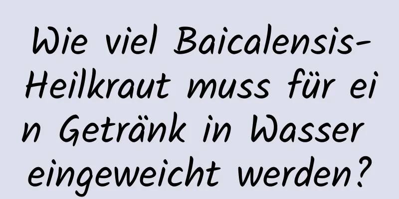 Wie viel Baicalensis-Heilkraut muss für ein Getränk in Wasser eingeweicht werden?