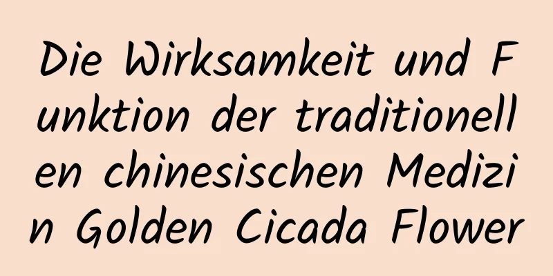 Die Wirksamkeit und Funktion der traditionellen chinesischen Medizin Golden Cicada Flower