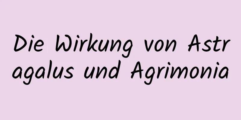 Die Wirkung von Astragalus und Agrimonia