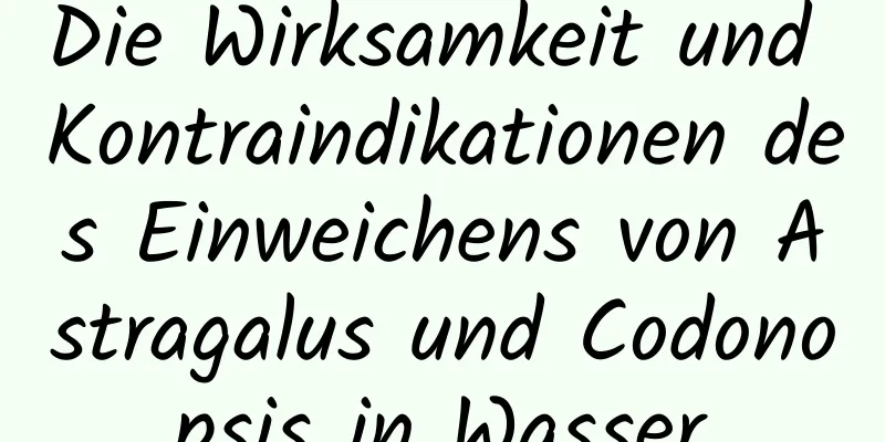 Die Wirksamkeit und Kontraindikationen des Einweichens von Astragalus und Codonopsis in Wasser