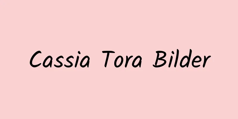 Cassia Tora Bilder