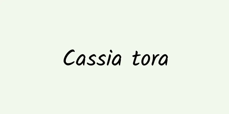 Cassia tora