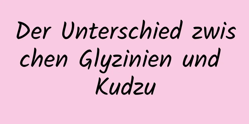 Der Unterschied zwischen Glyzinien und Kudzu