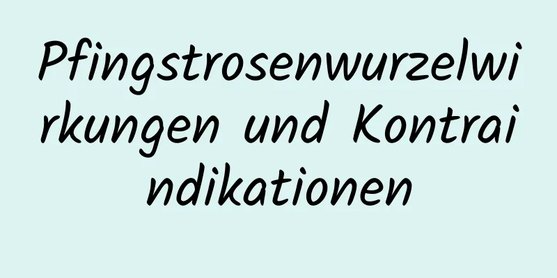 Pfingstrosenwurzelwirkungen und Kontraindikationen