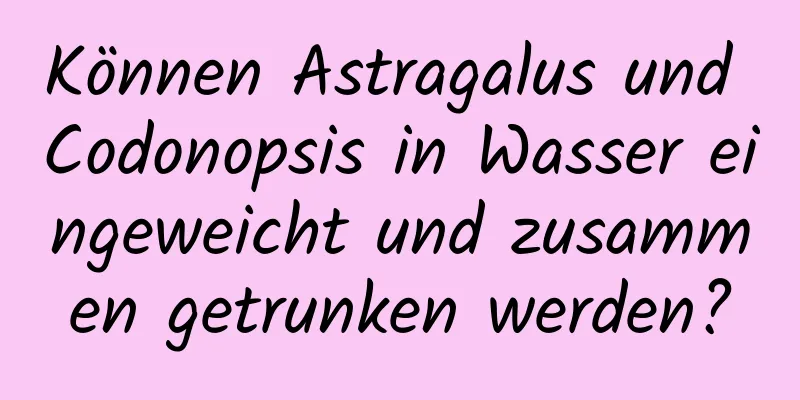 Können Astragalus und Codonopsis in Wasser eingeweicht und zusammen getrunken werden?