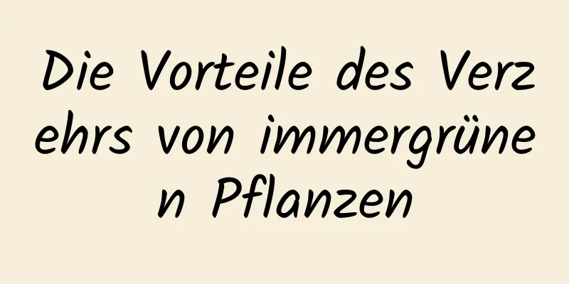 Die Vorteile des Verzehrs von immergrünen Pflanzen