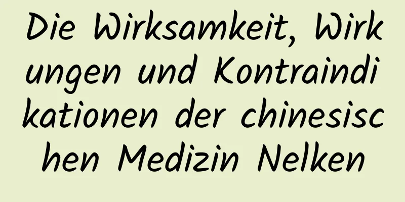 Die Wirksamkeit, Wirkungen und Kontraindikationen der chinesischen Medizin Nelken