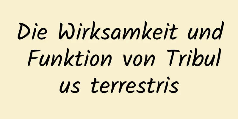 Die Wirksamkeit und Funktion von Tribulus terrestris