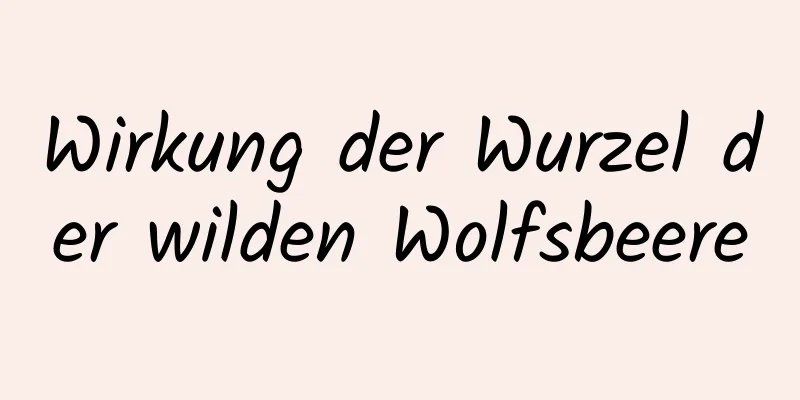 Wirkung der Wurzel der wilden Wolfsbeere