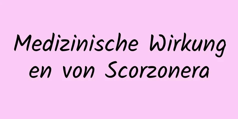 Medizinische Wirkungen von Scorzonera