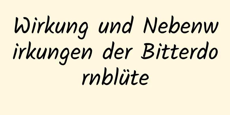 Wirkung und Nebenwirkungen der Bitterdornblüte