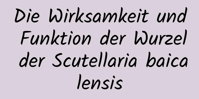 Die Wirksamkeit und Funktion der Wurzel der Scutellaria baicalensis