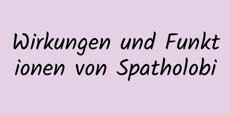 Wirkungen und Funktionen von Spatholobi