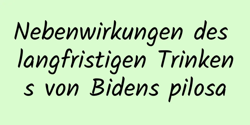 Nebenwirkungen des langfristigen Trinkens von Bidens pilosa