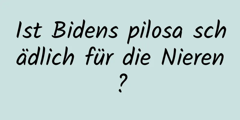 Ist Bidens pilosa schädlich für die Nieren?