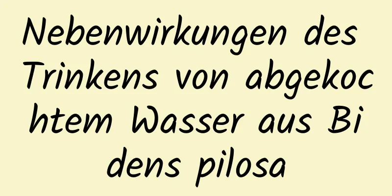 Nebenwirkungen des Trinkens von abgekochtem Wasser aus Bidens pilosa