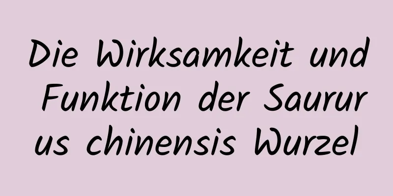 Die Wirksamkeit und Funktion der Saururus chinensis Wurzel