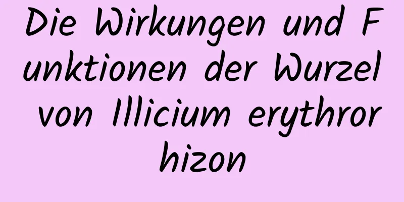 Die Wirkungen und Funktionen der Wurzel von Illicium erythrorhizon