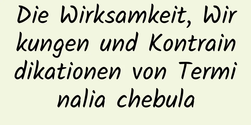 Die Wirksamkeit, Wirkungen und Kontraindikationen von Terminalia chebula