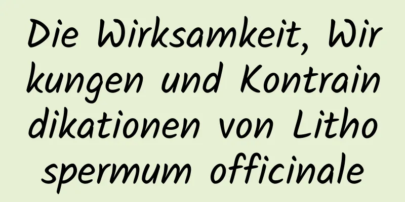 Die Wirksamkeit, Wirkungen und Kontraindikationen von Lithospermum officinale