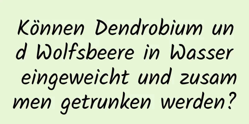 Können Dendrobium und Wolfsbeere in Wasser eingeweicht und zusammen getrunken werden?