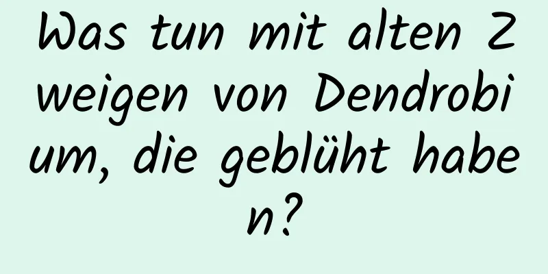 Was tun mit alten Zweigen von Dendrobium, die geblüht haben?