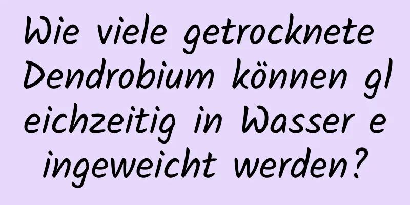 Wie viele getrocknete Dendrobium können gleichzeitig in Wasser eingeweicht werden?